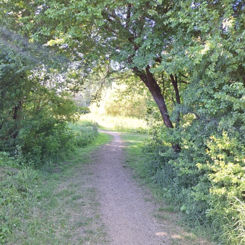 Søvnbesvær