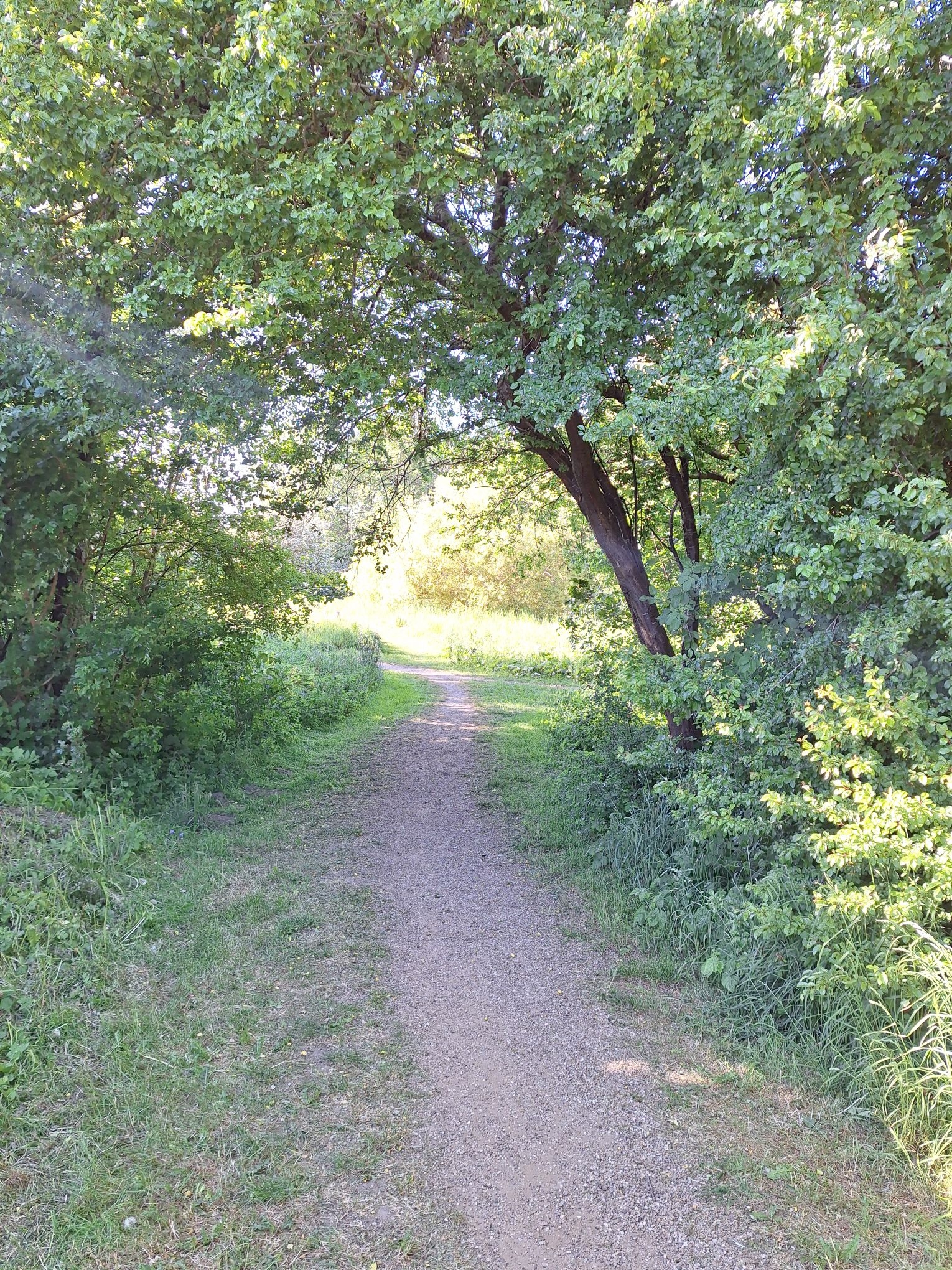Søvnbesvær